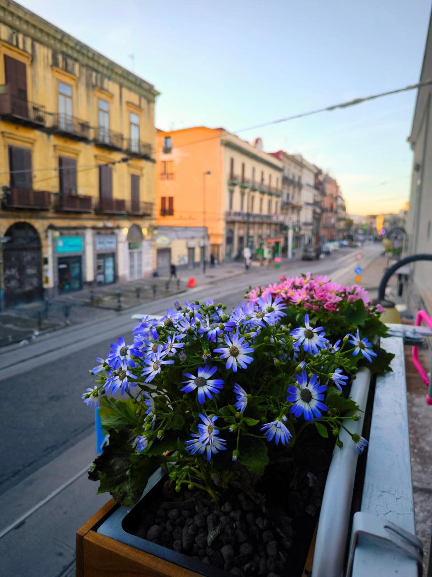 Casamira B&B Napoli Centrale Zewnętrze zdjęcie